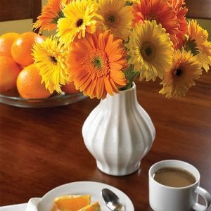 Harvard: Flowers Boost Morning Moods