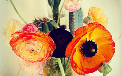 Share This: 23 Persuasive Reasons To Buy Flowers