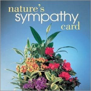 Nature's sympathy card. blue background and an mixed color arrangement displayed