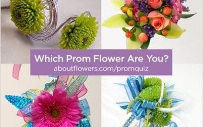 Boost Your Prom Sales with New Quiz