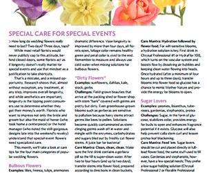 Special Care for Special Day Cuts