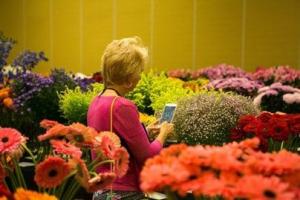 The Outstanding Varieties Exhibit provides an idyllic opportunity to see, touch, smell and take photos of new flowers and plants.