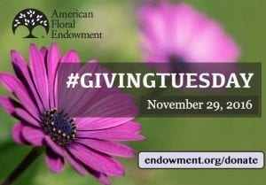 givingtuesday2