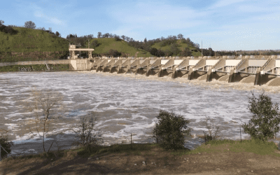 In California, Growers Wrestle with Wet, Cloudy Conditions — and Relief from the Drought