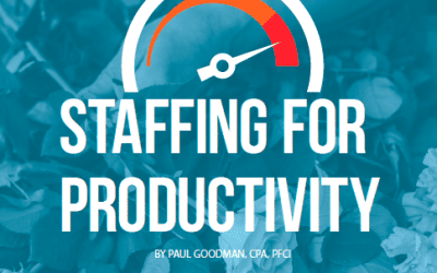 Learn to Staff for Productivity