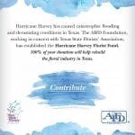 Hurricane Harvey. “Texas State Florists' Association and the AIFD Foundation continue to receive donations for the Hurricane Harvey Florist Fund,”