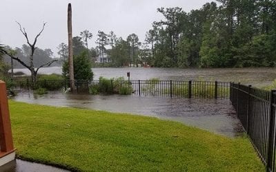 Floral Industry Reacts to Hurricanes