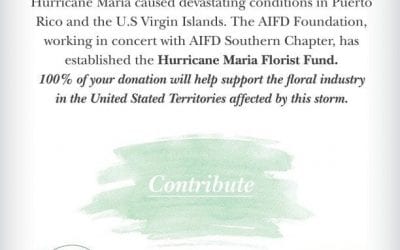 AIFD Foundation Launches Hurricane Maria Florist Fund