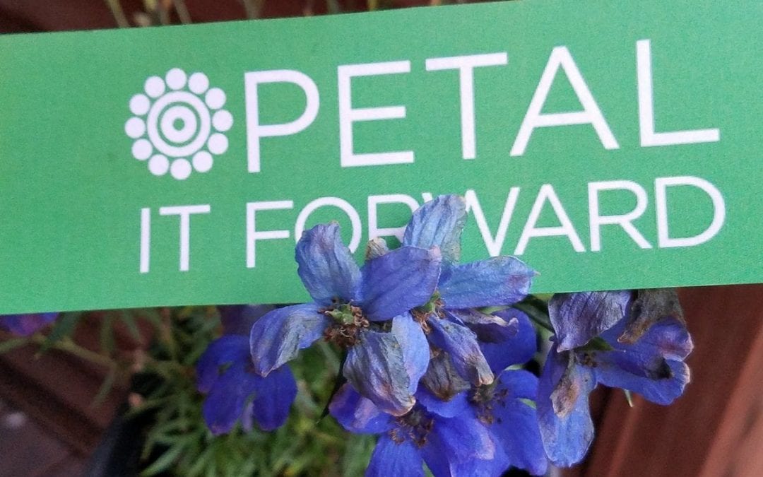 Petal It Forward 2017: Social Media Coverage