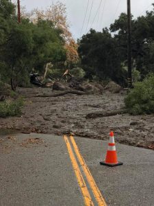 Kasey Cronquist, PFCI, CEO of the California Cut Flower Commission, said he’s heard of only “minor damage to a couple of our 20-plus cut flower farms in Carpinteria Valley.” Photo courtesy Joost Bongaerts)