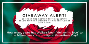 On Monday, January 29, Welke's Milwaukee Florist gave a free gift card to the first person who could correctly answer the Facebook query, "How many years has Welke's been'delivering love' to the Milwaukee community for Valentine's Day?" (Answer: 117.)