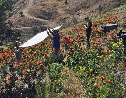 Filmmakers interview Mel Resendiz about water use at his protea farms for a new campaign with the San Diego Water Authority.