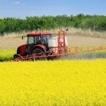 tractor plowing a field of yellow flowers