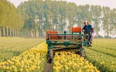 Senate Approves Its Farm Bill