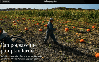 Farmer Hopes Marijuana Revenue Will Buoy Business