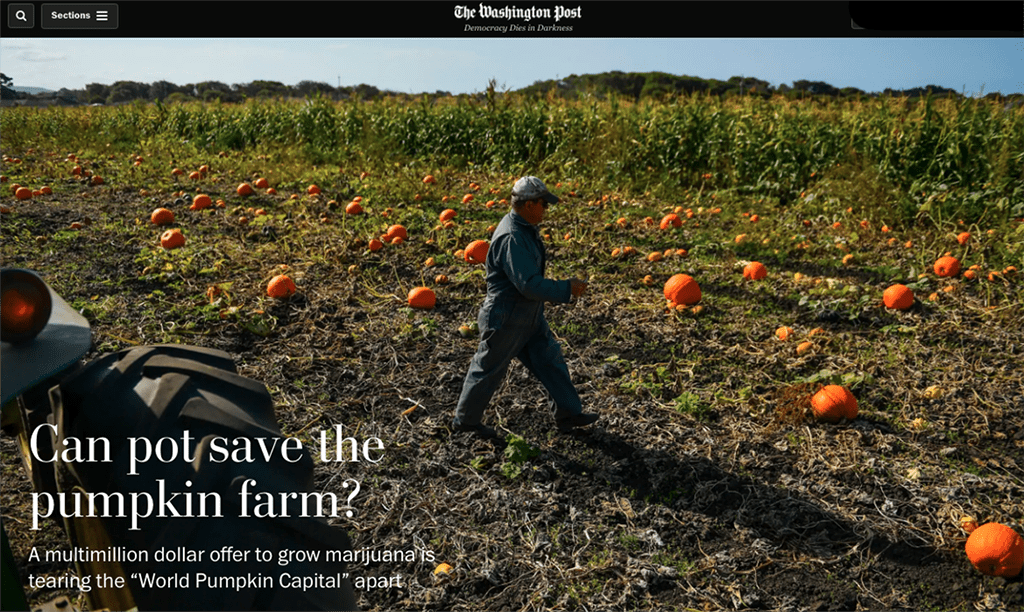 Tuesday’s election will determine whether Eda and John Muller, owners of Daylight Farms, will be allowed to use a section of their 21-acre property to grow thousands of young marijuana plants.