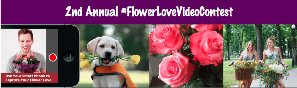 Jaclyn Fiola’s "Let Happiness Bloom" video was the grand prize winner for the first #FlowerLoveVideoContest.