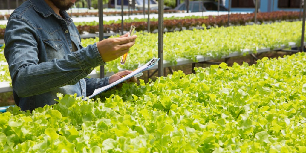 Young farmer hydroponics is monitoring the quality of water used to grow crops. In his hand he holds a glass tube containing test substance.