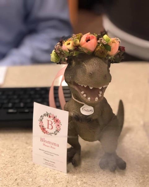 A California flower farmer and designer dressed up a toy dinosaur at her local bank to advertise her business. Toy Flower Crown Provides Fun,