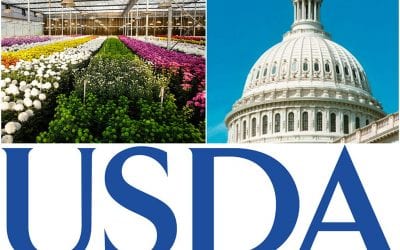 SAF and AmericanHort Suggest Improvements to Census of Horticultural Specialties