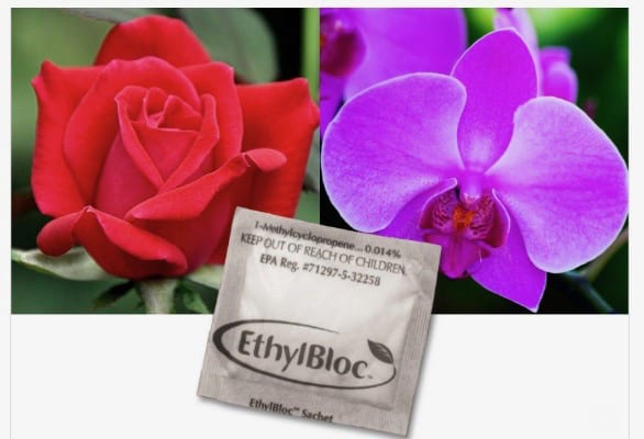 Steal these Ideas for Mother’s Day Social Media Posts