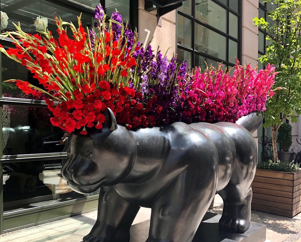 Crosby the Cat decorated with flowers