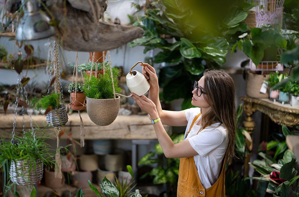 Make Your Shop a Plant Destination