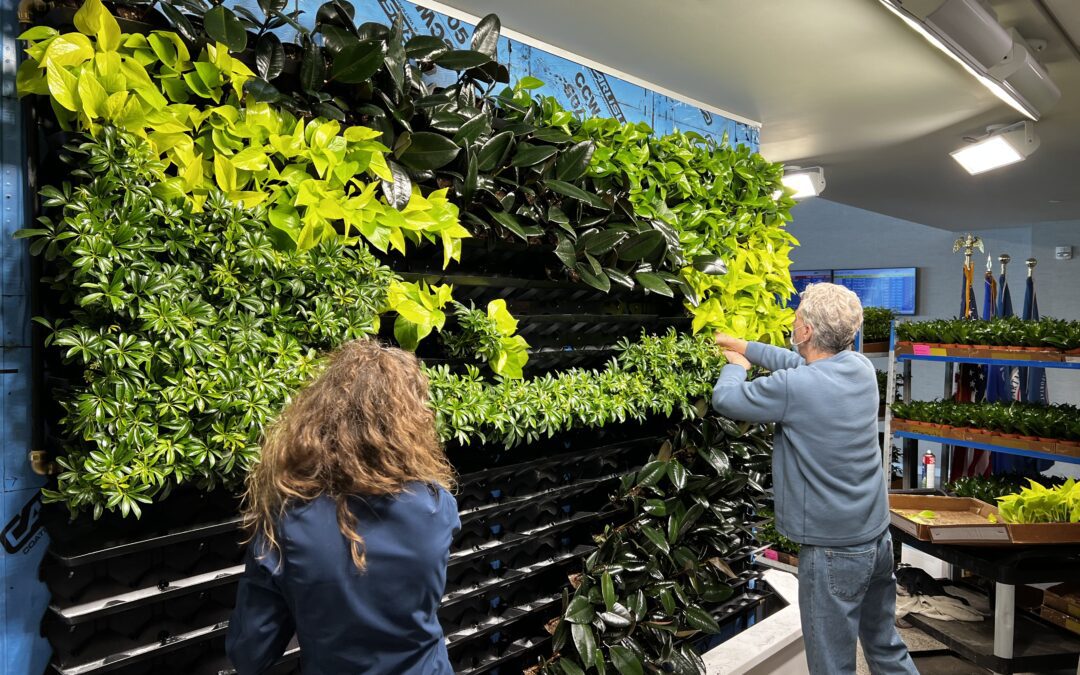 Plant Services: A Growing Opportunity for Florists