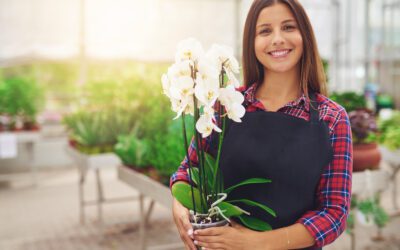 Salary Survey Aims to Expand Insights for Floral Businesses